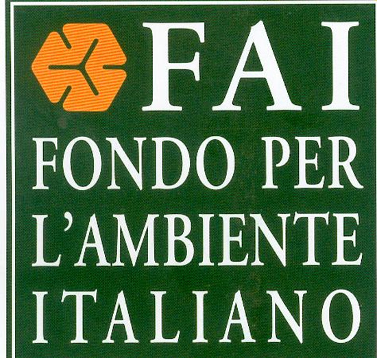  FAI logo