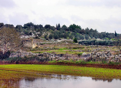 Collina dei Fanciulli e delle Ninfe a rischio. Ambientalisti:"Vendola fermi la devastazione" Collina dei Fanciulli e delle Ninfe