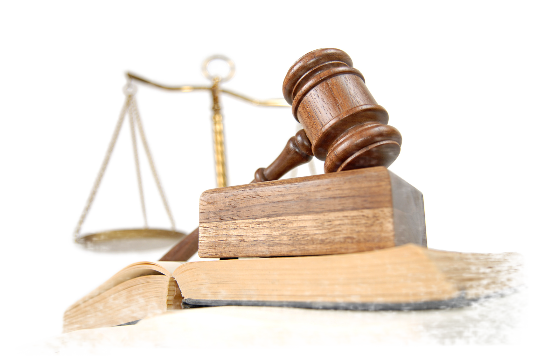 Lungo la Via della Legalità legalità