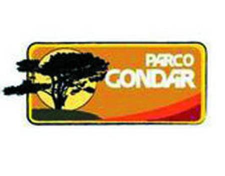 Immagine d'archivio Parco Gondar: si inizia domani con la "discoteca" rock