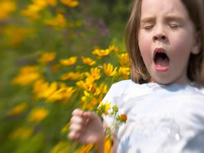 Immagine d'archivio Allergie di primavera: l'"incubo" è tornato