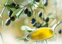 olio olio