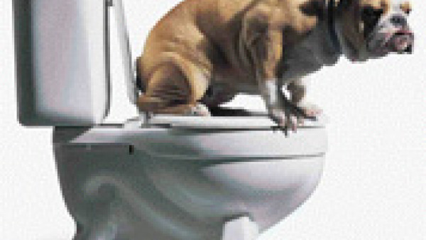 "Dogtoilet": da oggi a Lecce parte l'iniziativa