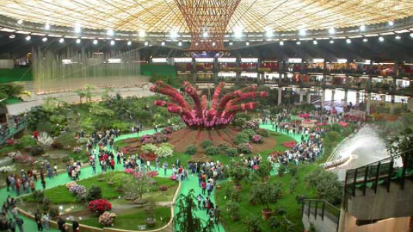  Euroflora 2011: l’eccellenza florovivaistica pugliese