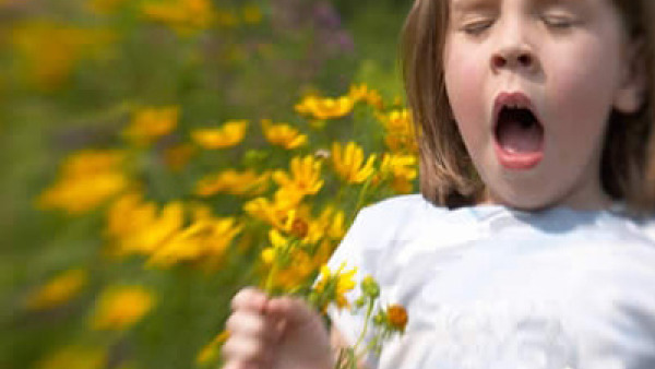 Allergie di primavera: l'"incubo" è tornato
