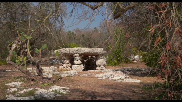 Comune di Minervino