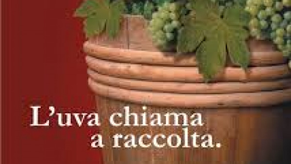 "Benvenuta vendemmia": le Cantine Paolo Leo a San Donaci