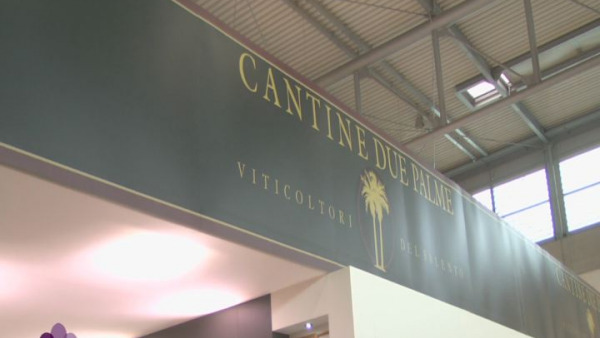 Vinitaly 2012: lungo le vie del Salice Salentino, vino DOP da tutelare