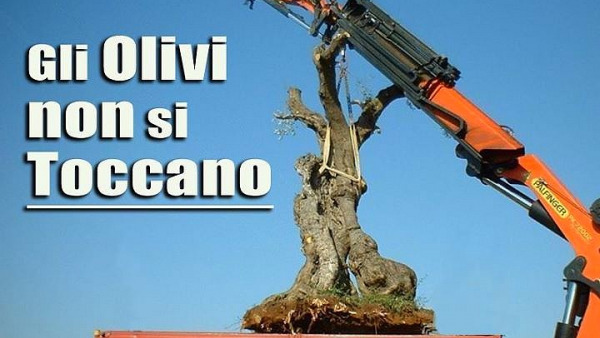Denuncia degli ambientalisti alla Regione Puglia