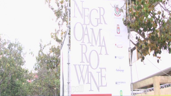 Negroamaro Wine Festival 2011: sapori, odori e musica nelle piazze di Brindisi
