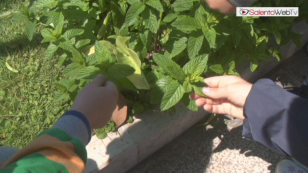 Primo “Fascination of Plants Day” a Lecce: i piccoli alla "scoperta della natura