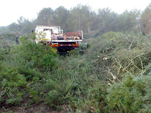 L'autocarro sequestrato Tagliavano legna nel bosco: denunciati in sei