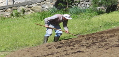 lavoro campi lavoro campi