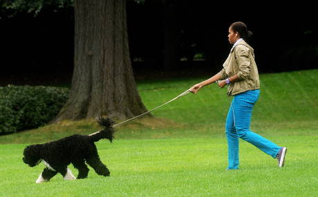 Palestra? Meglio portar a spasso il cane per tenersi in forma