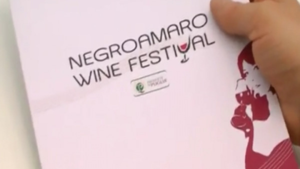 "Negroamaro wine festival"